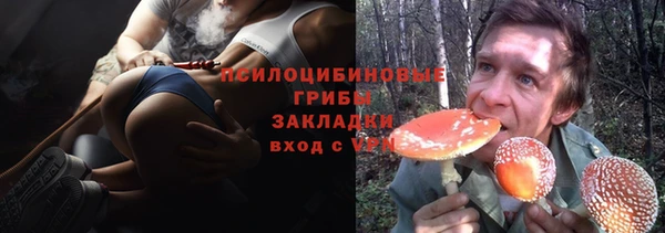 дживик Алексеевка