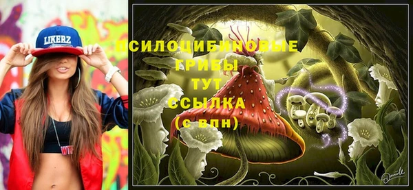 дживик Алексеевка