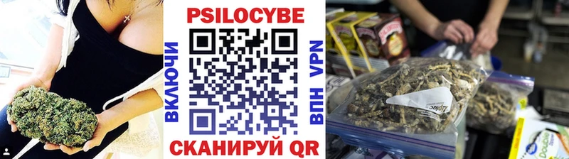 как найти   Себеж  Галлюциногенные грибы Psilocybe 